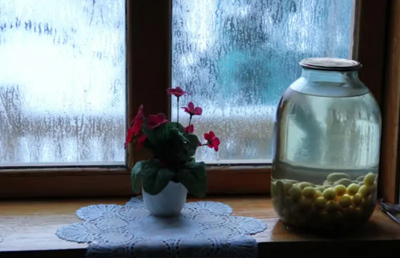 Tips för klassiska fönsterbrädor