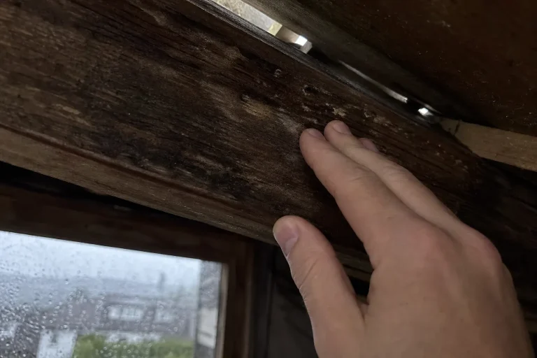 En hand känner på fuktig råspont i vindsutrymme, ett tecken på att det kan vara dags att öka husets värde med nytt tak.